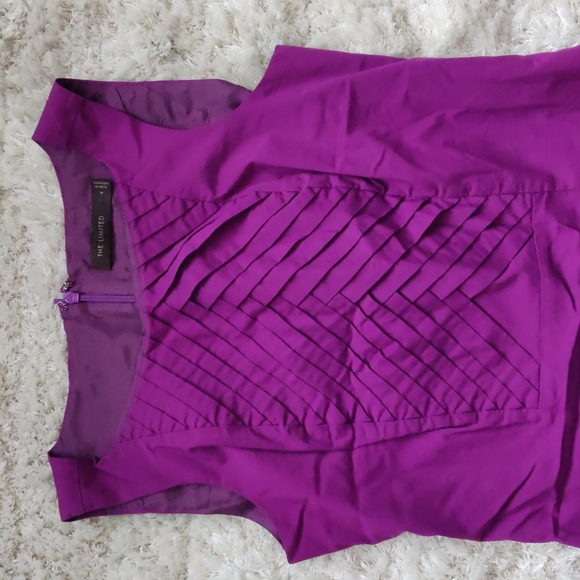 EUC Sleeveless fuchsia dress - Picture 2 of 4